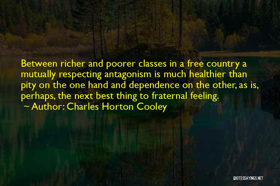 Fraternal Quotes By Charles Horton Cooley