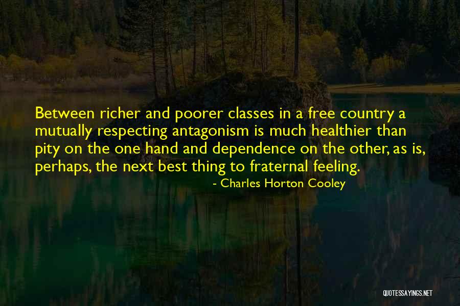 Fraternal Quotes By Charles Horton Cooley