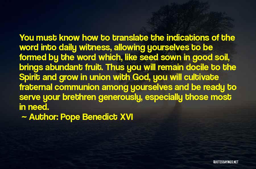 Fraternal Quotes By Pope Benedict XVI