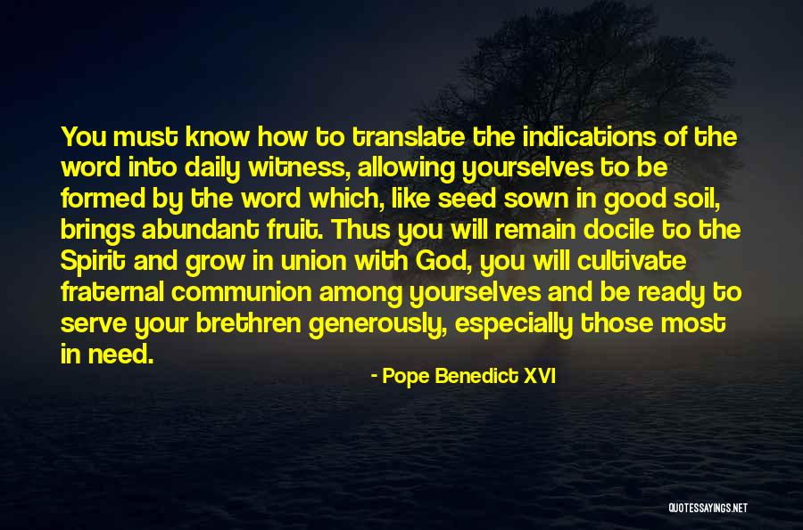 Fraternal Quotes By Pope Benedict XVI