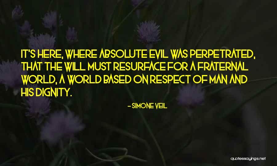 Fraternal Quotes By Simone Veil