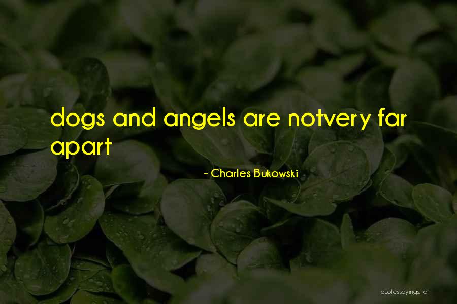 Fraternitate Quotes By Charles Bukowski Fraternitate Quotes By Charles Bukowski