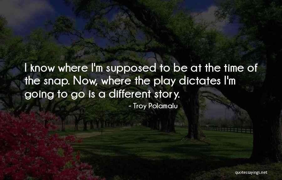 Fratila Vioara Quotes By Troy Polamalu Fratila Vioara Quotes By Troy Polamalu