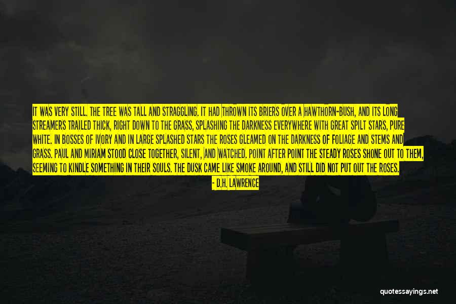 Fratini Olive Oil Quotes By D.H. Lawrence Fratini Olive Oil Quotes By D.H. Lawrence