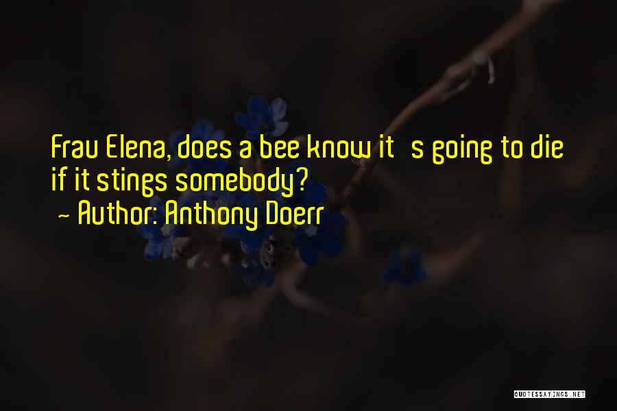 Frau Elena Quotes By Anthony Doerr
