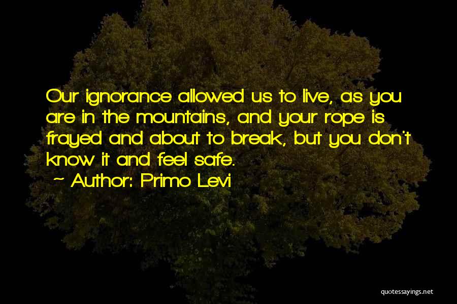 Frayed Quotes By Primo Levi