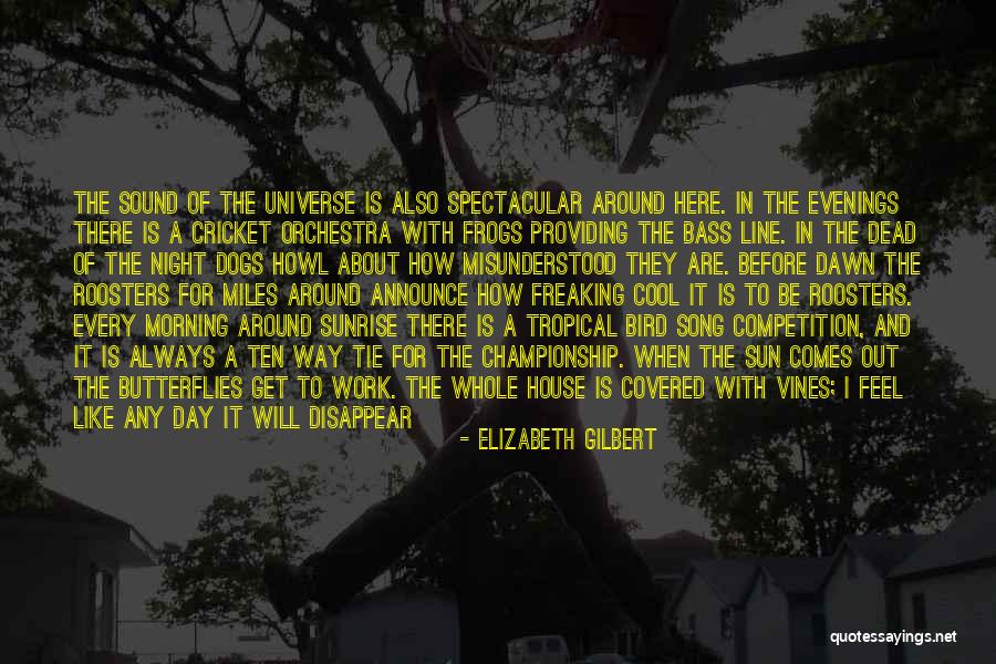 Freaking Out Quotes By Elizabeth Gilbert Freaking Out Quotes By Elizabeth Gilbert