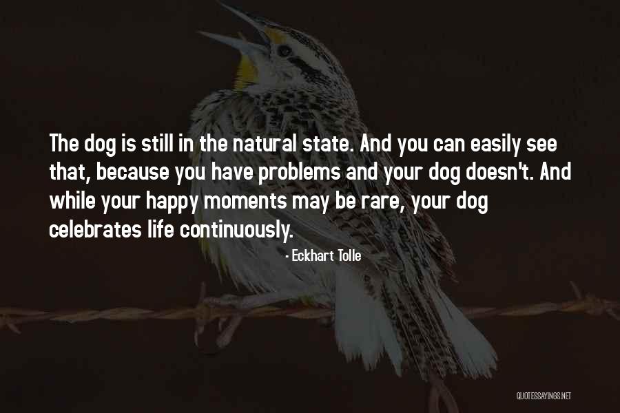 Freakonomics Memorable Quotes By Eckhart Tolle Freakonomics Memorable Quotes By Eckhart Tolle