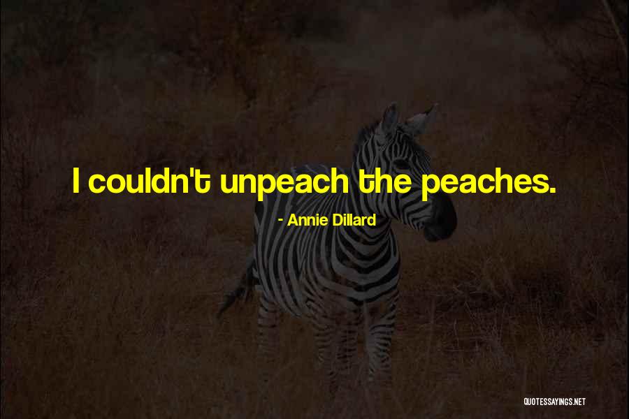 Freaney Accountants Quotes By Annie Dillard Freaney Accountants Quotes By Annie Dillard