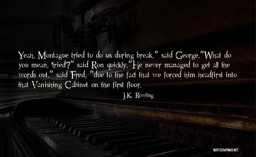 Fred George Weasley Quotes By J.K. Rowling