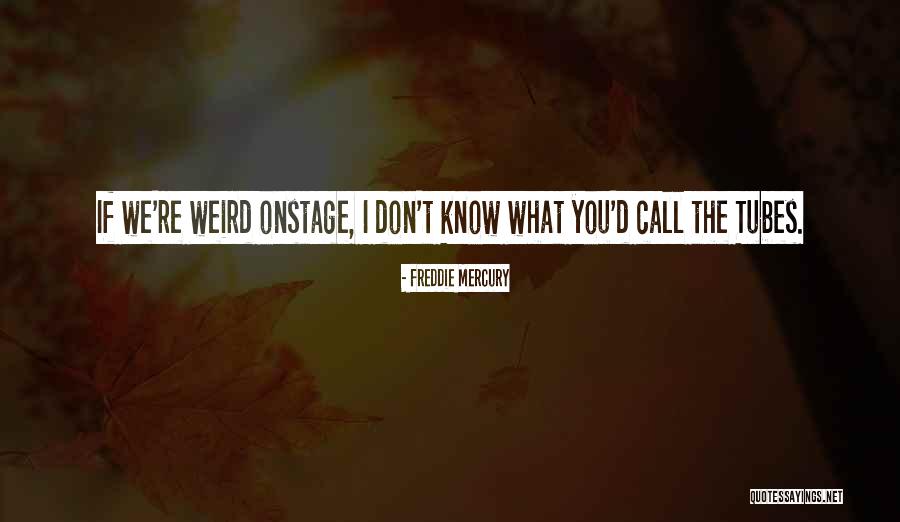 Freddie Mercury Quotes 2067003