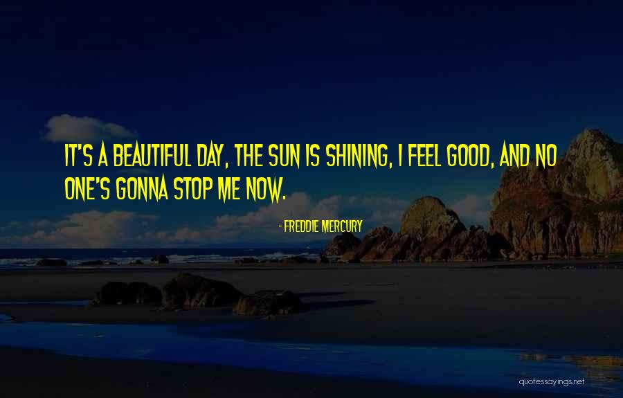Freddie Mercury Quotes 2174574 Freddie Mercury Quotes 2174574