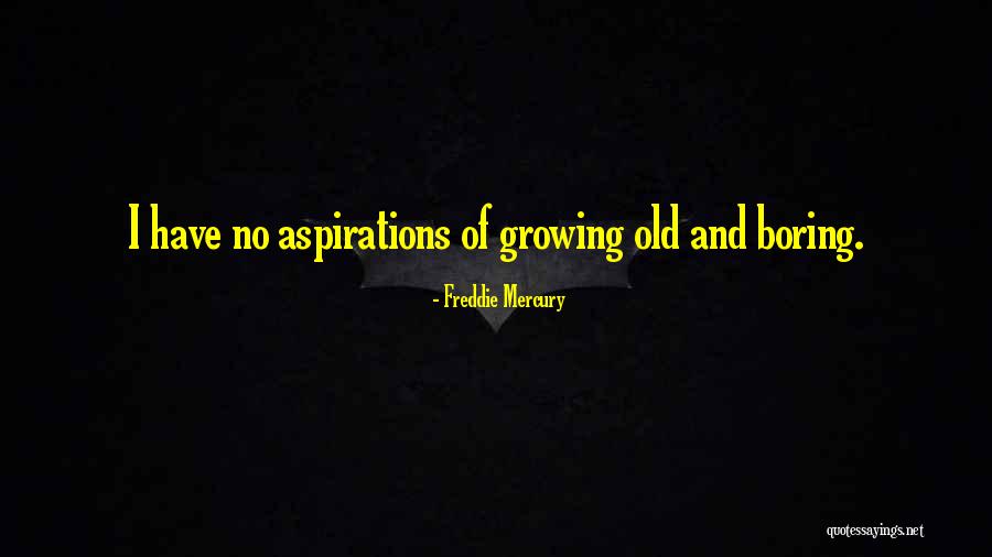 Freddie Mercury Quotes 966816