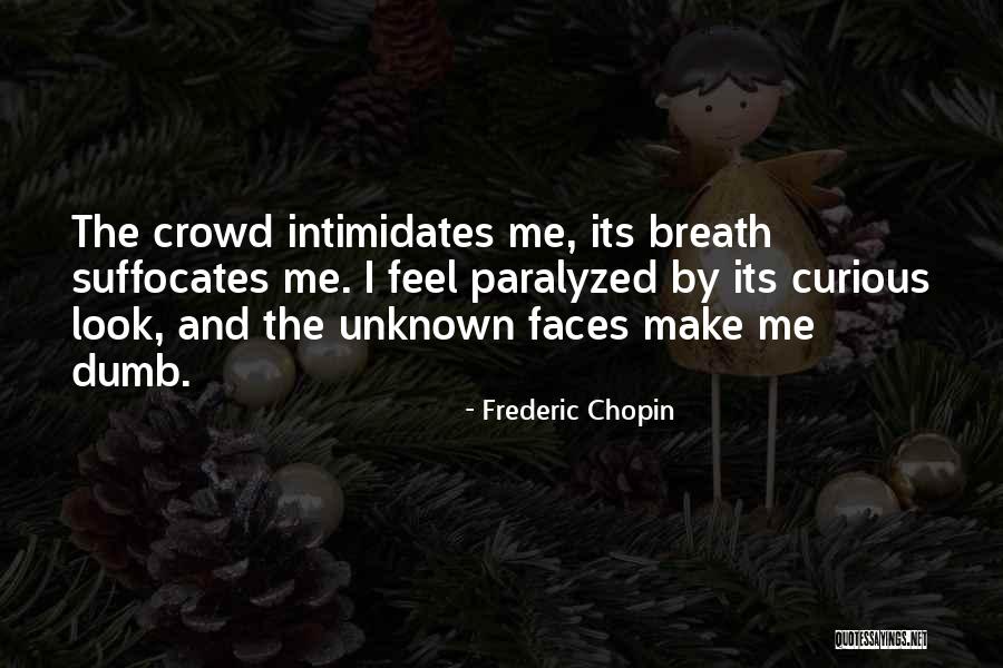 Frederic Chopin Quotes 378309