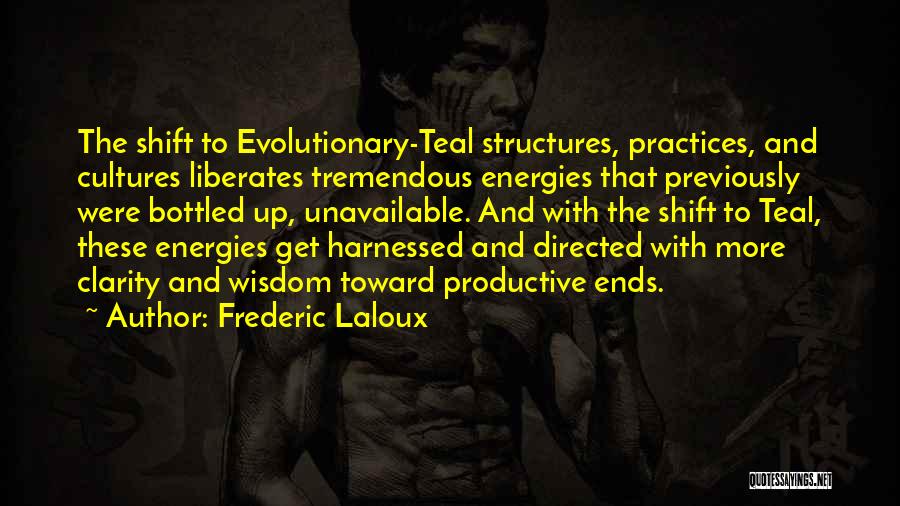 Frederic Laloux Quotes 837744