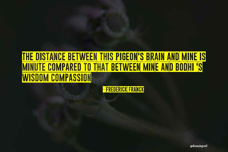 Frederick Franck Quotes 1558225 Frederick Franck Quotes 1558225