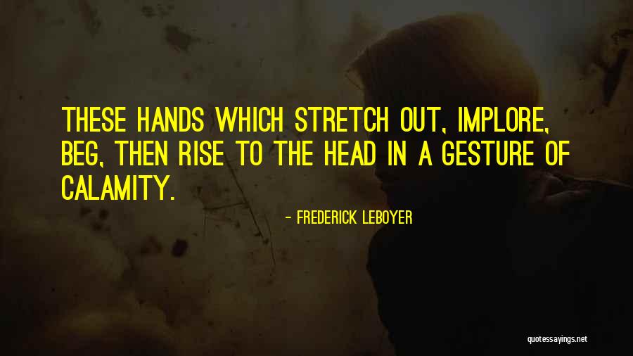 Frederick Leboyer Quotes 623562