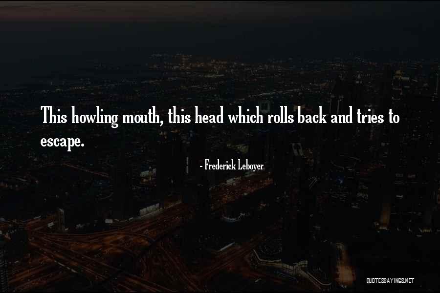 Frederick Leboyer Quotes 737267