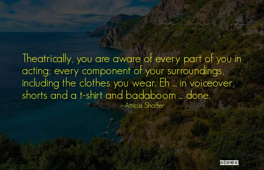 Fredini Quotes By Atticus Shaffer Fredini Quotes By Atticus Shaffer