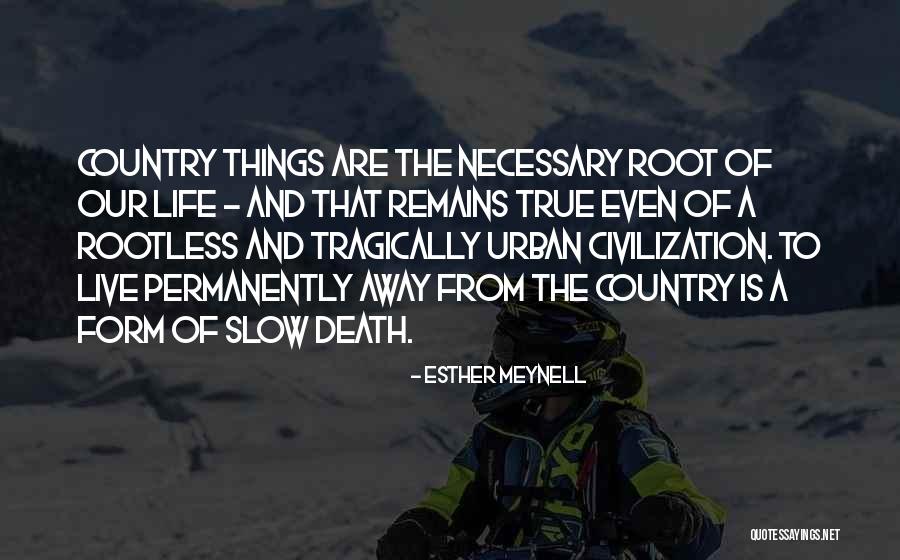 Fredonne Quotes By Esther Meynell