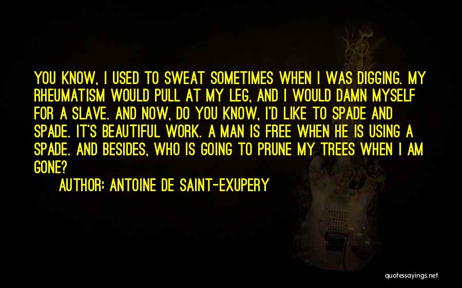 Free And Beautiful Quotes By Antoine De Saint-Exupery