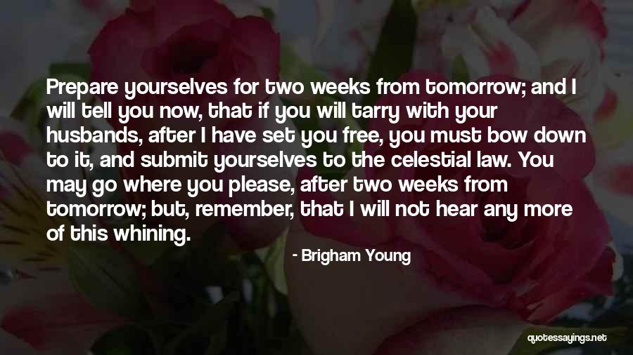 Free And Young Quotes By Brigham Young Free And Young Quotes By Brigham Young