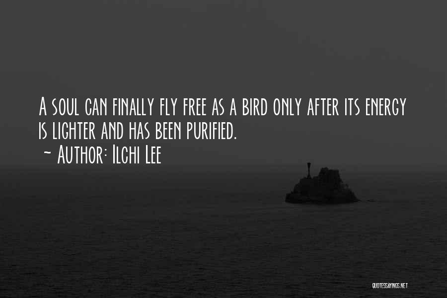 Free Bird Fly Quotes By Ilchi Lee