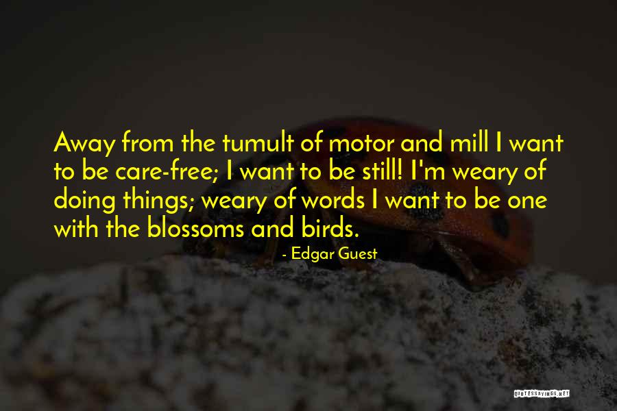 Free Birds Quotes By Edgar Guest