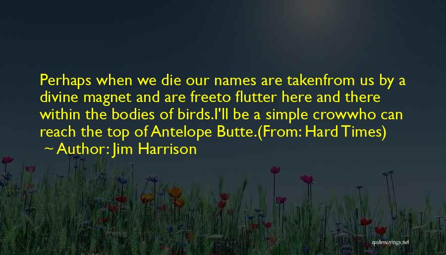 Free Birds Quotes By Jim Harrison Free Birds Quotes By Jim Harrison