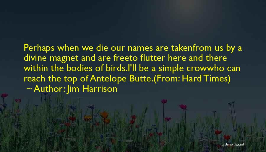 Free Birds Quotes By Jim Harrison