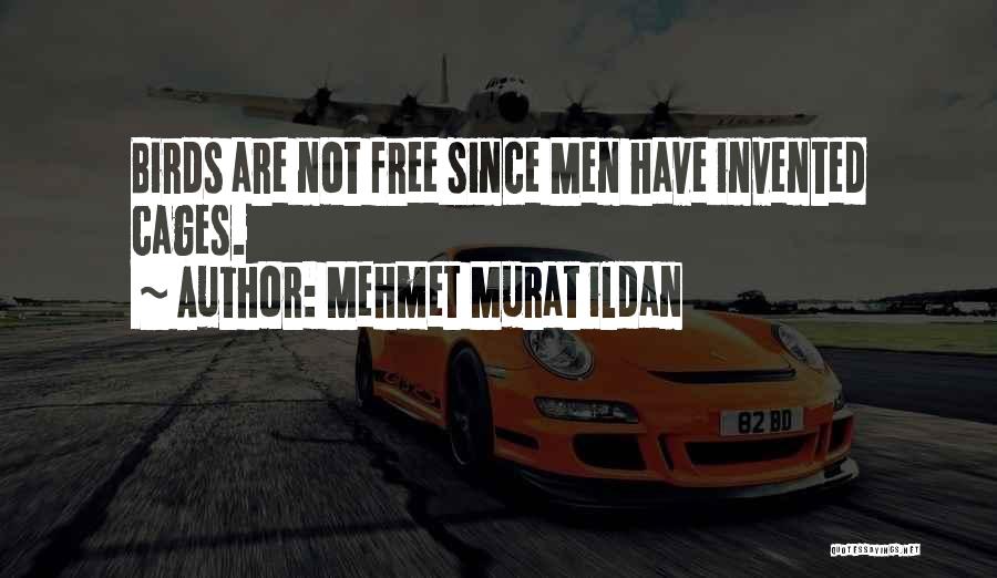 Free Birds Quotes By Mehmet Murat Ildan Free Birds Quotes By Mehmet Murat Ildan
