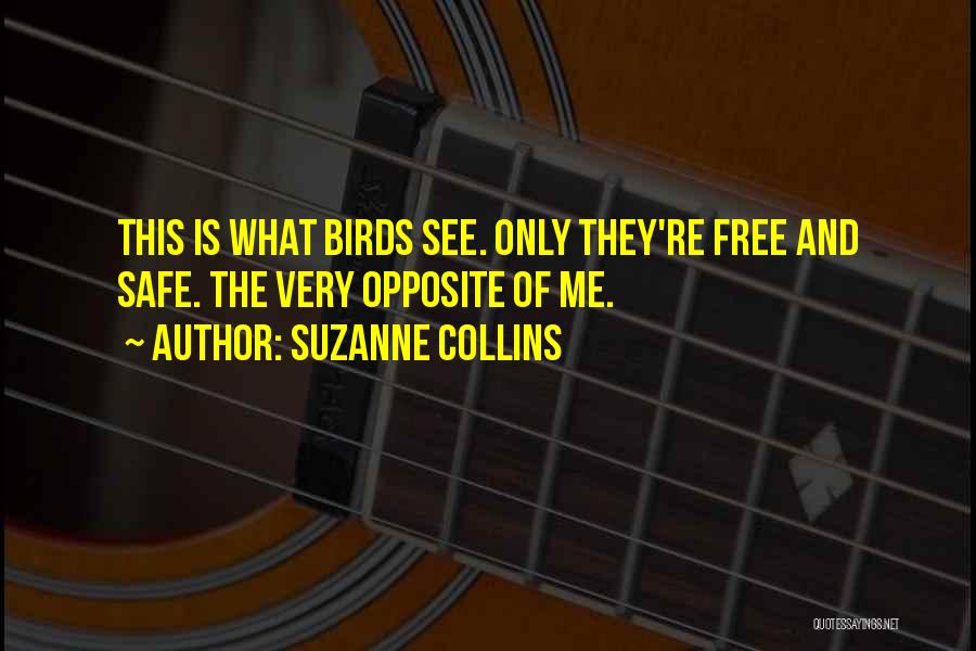 Free Birds Quotes By Suzanne Collins