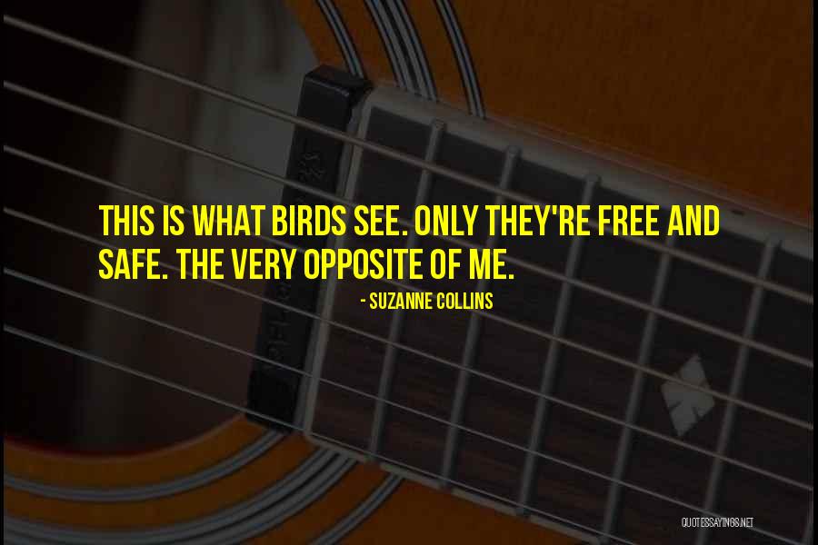 Free Birds Quotes By Suzanne Collins