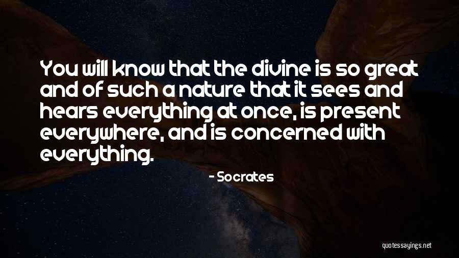 Free Carpet Quotes By Socrates Free Carpet Quotes By Socrates