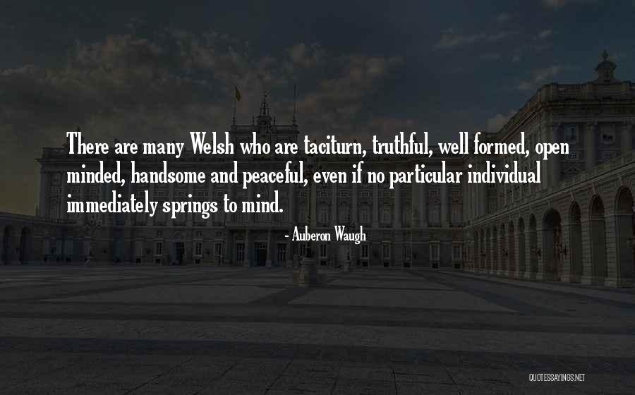 Free Downloadable Motivational Quotes By Auberon Waugh Free Downloadable Motivational Quotes By Auberon Waugh