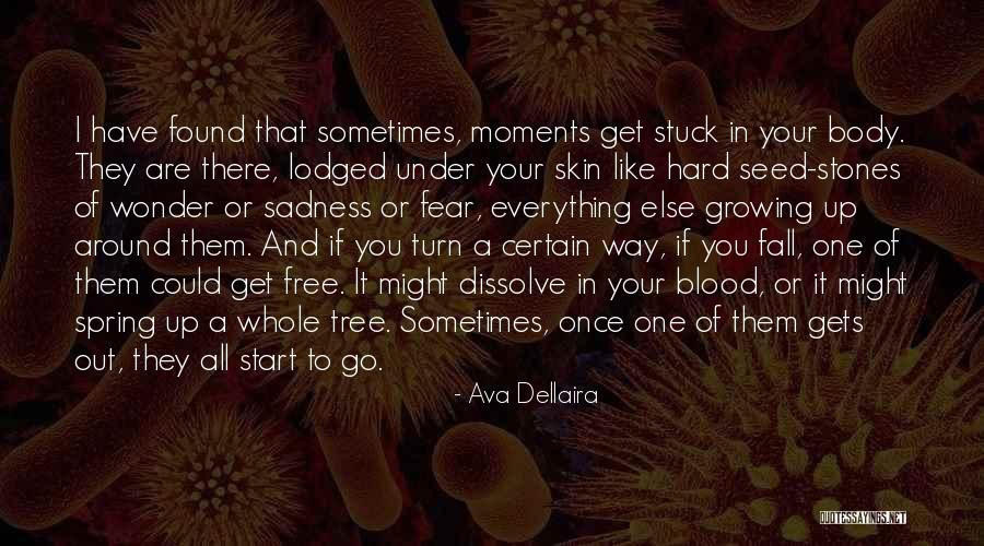 Free Fall Quotes By Ava Dellaira Free Fall Quotes By Ava Dellaira