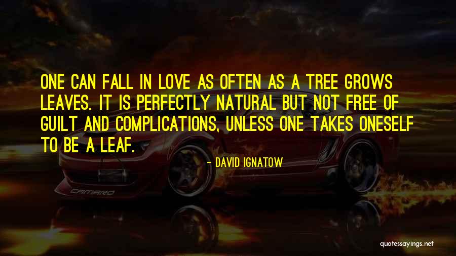 Free Fall Quotes By David Ignatow Free Fall Quotes By David Ignatow