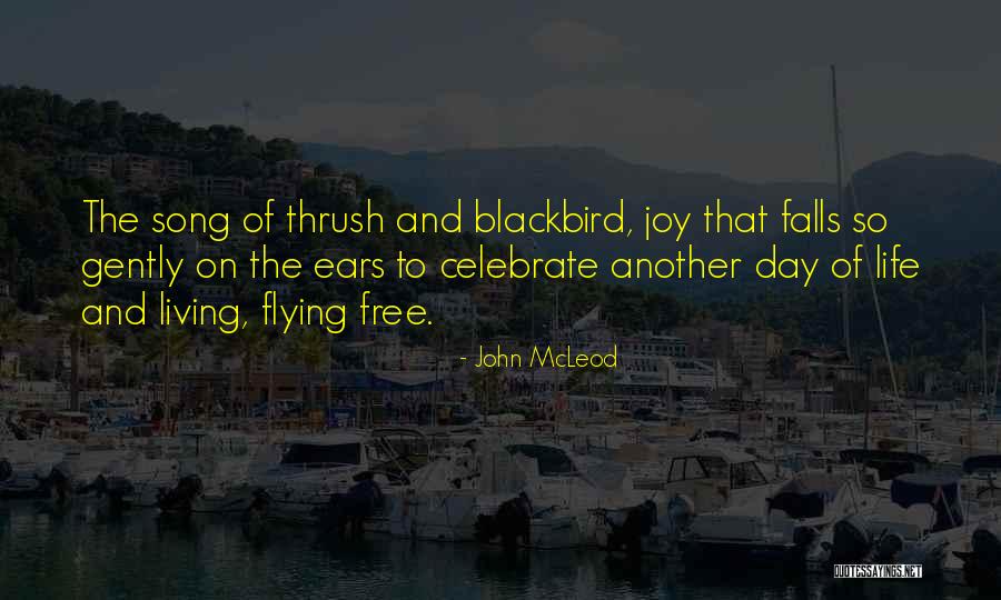 Free Fall Quotes By John McLeod Free Fall Quotes By John McLeod