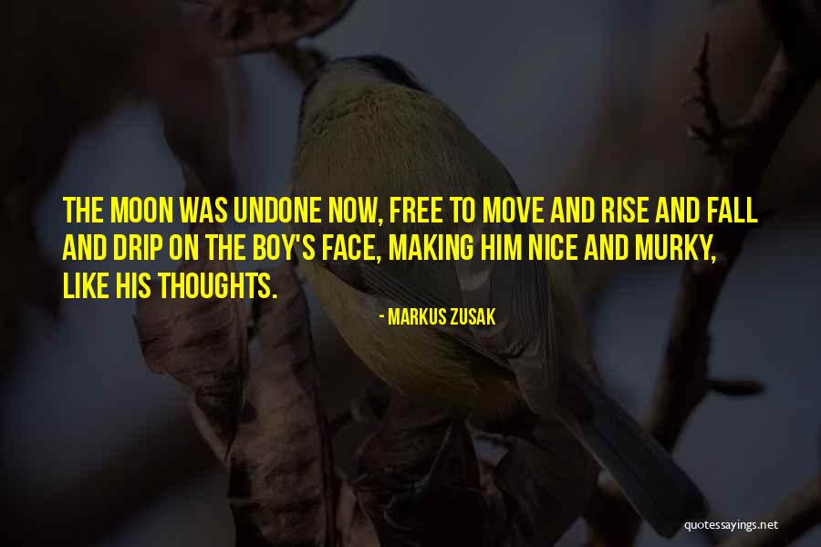 Free Fall Quotes By Markus Zusak Free Fall Quotes By Markus Zusak