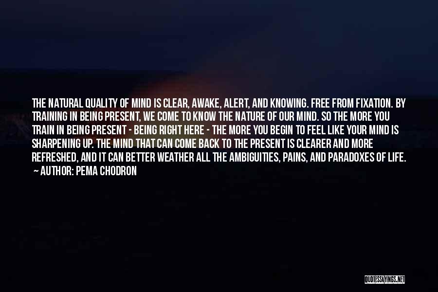 Free Feel Better Quotes By Pema Chodron Free Feel Better Quotes By Pema Chodron