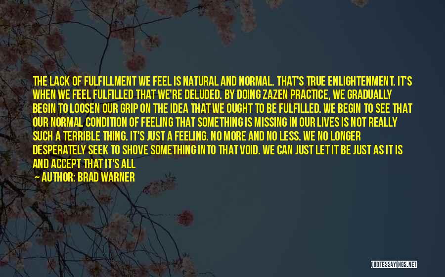 Free Feel Good Quotes By Brad Warner
