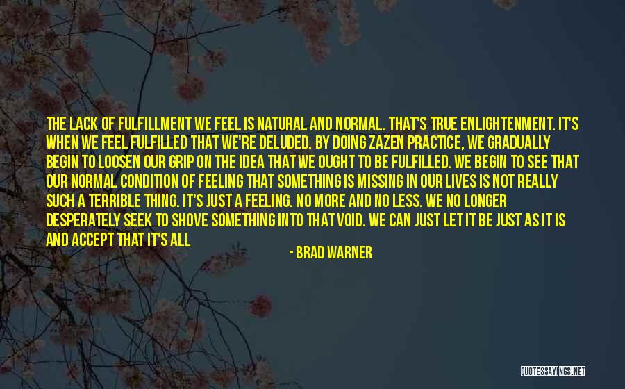 Free Feel Good Quotes By Brad Warner