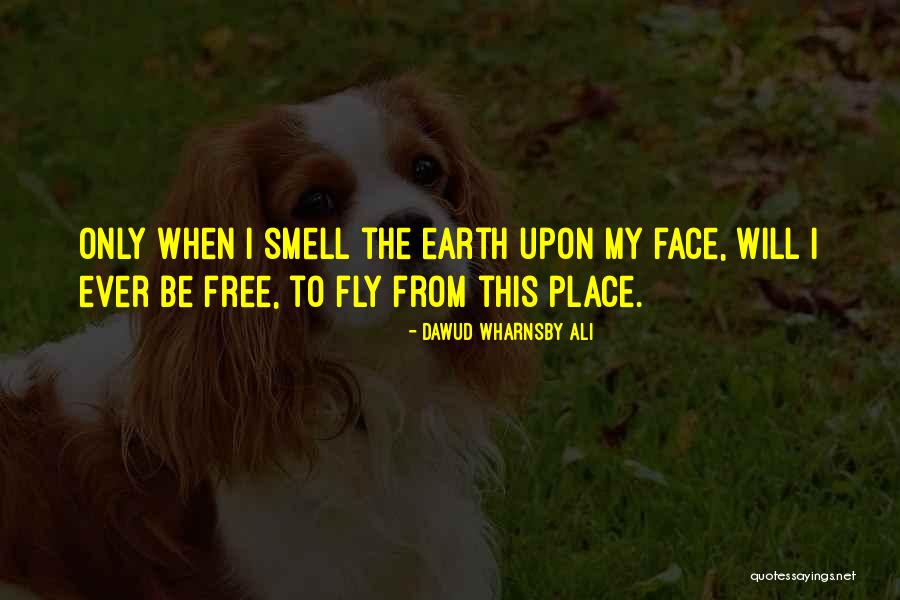 Free Fly Quotes By Dawud Wharnsby Ali Free Fly Quotes By Dawud Wharnsby Ali