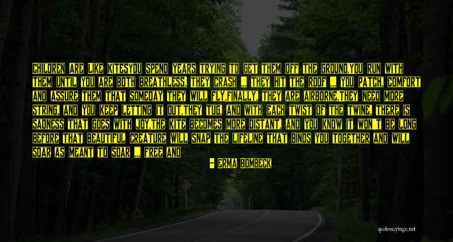 Free Fly Quotes By Erma Bombeck Free Fly Quotes By Erma Bombeck