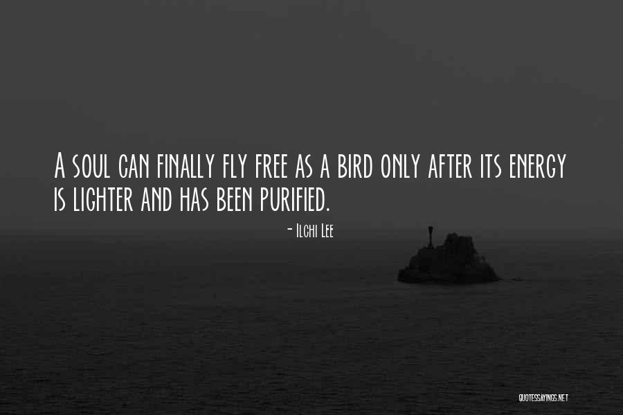 Free Fly Quotes By Ilchi Lee Free Fly Quotes By Ilchi Lee