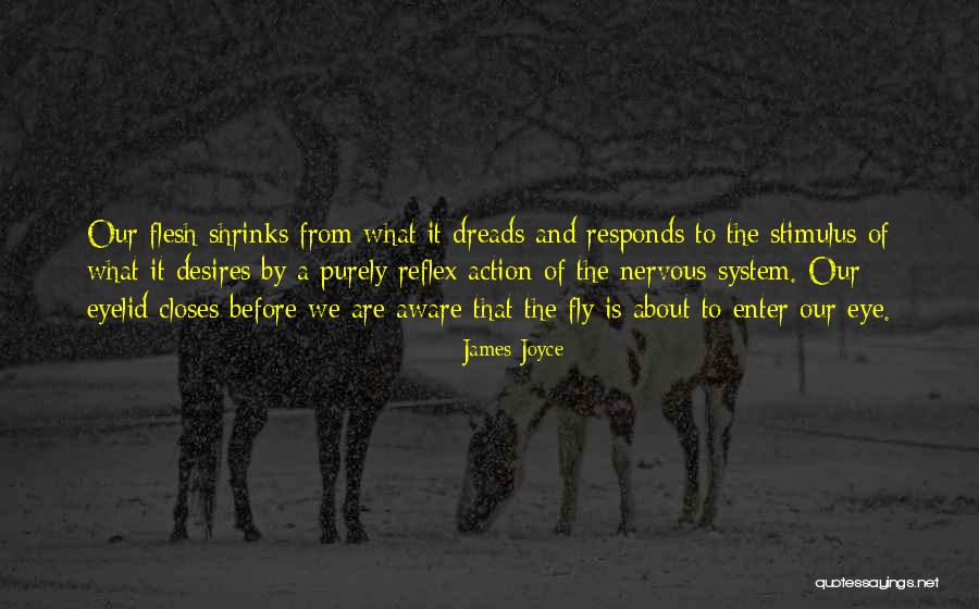 Free Fly Quotes By James Joyce Free Fly Quotes By James Joyce