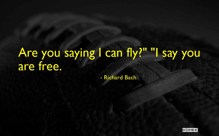 Free Fly Quotes By Richard Bach Free Fly Quotes By Richard Bach