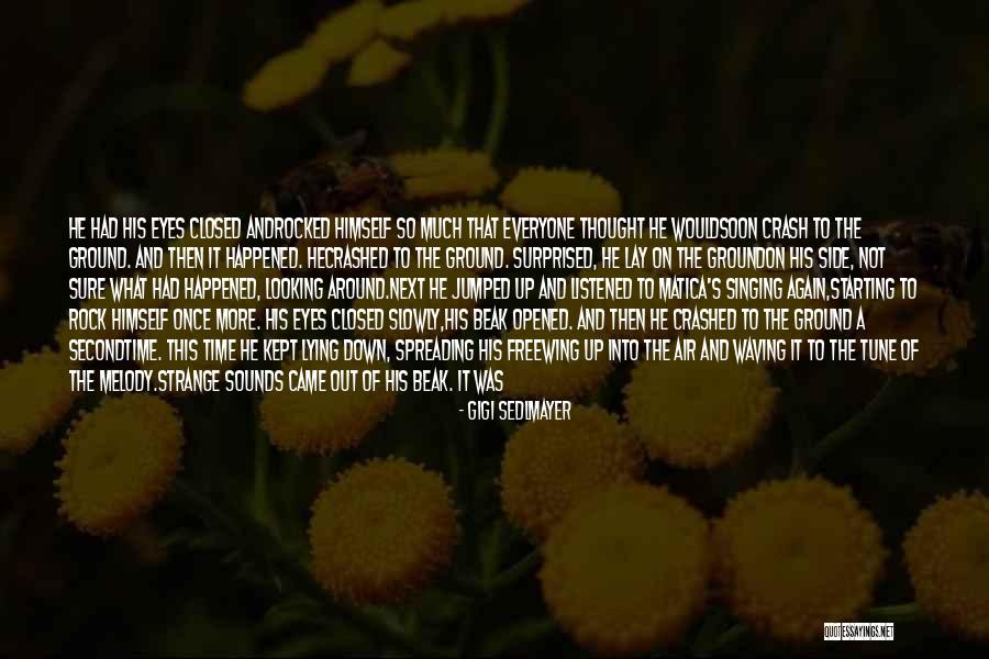 Free Flying Quotes By Gigi Sedlmayer Free Flying Quotes By Gigi Sedlmayer