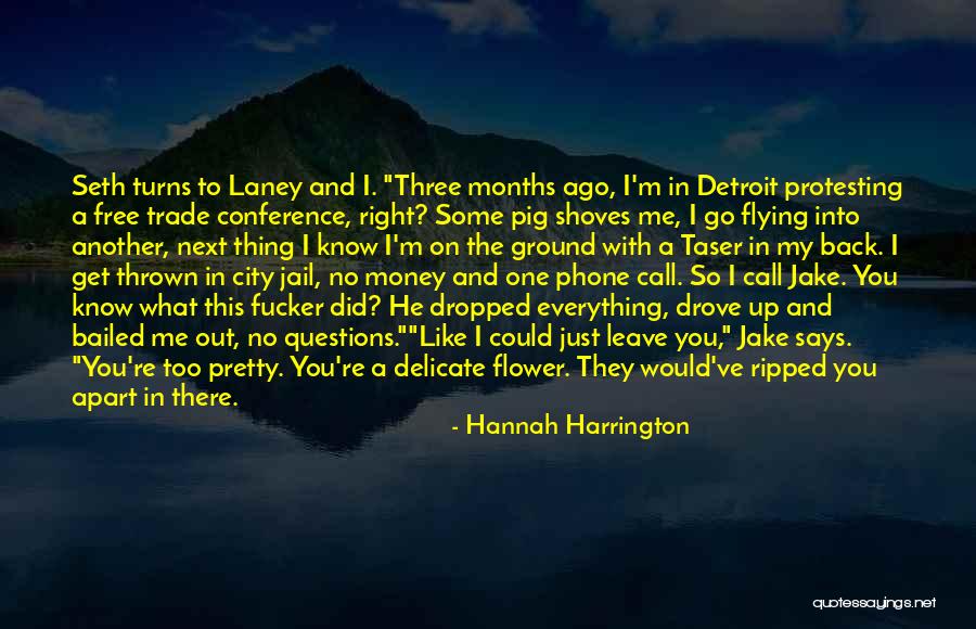 Free Flying Quotes By Hannah Harrington Free Flying Quotes By Hannah Harrington