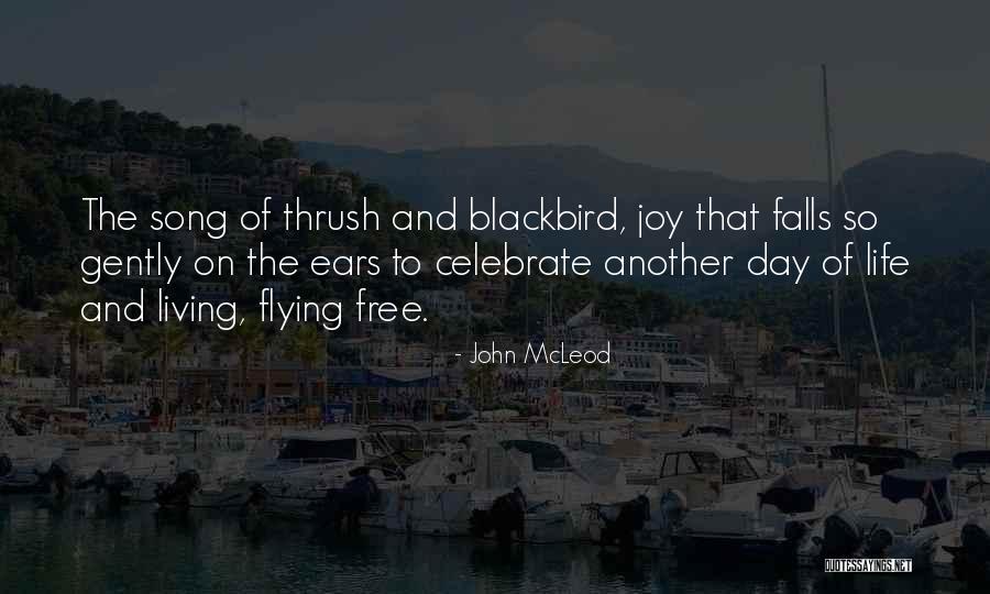 Free Flying Quotes By John McLeod Free Flying Quotes By John McLeod